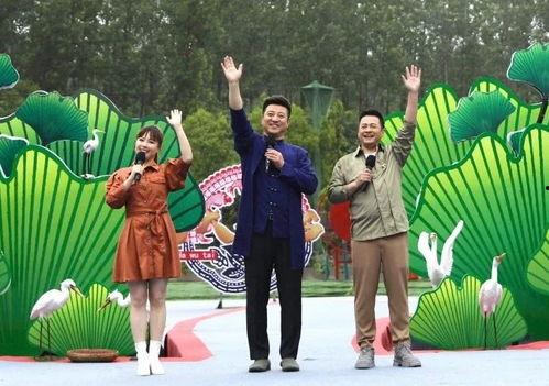 爆料金融诈骗案例最新视频,视频揭露诈骗手段与防范攻略 第3张 爆料金融诈骗案例最新视频,视频揭露诈骗手段与防范攻略 第3张